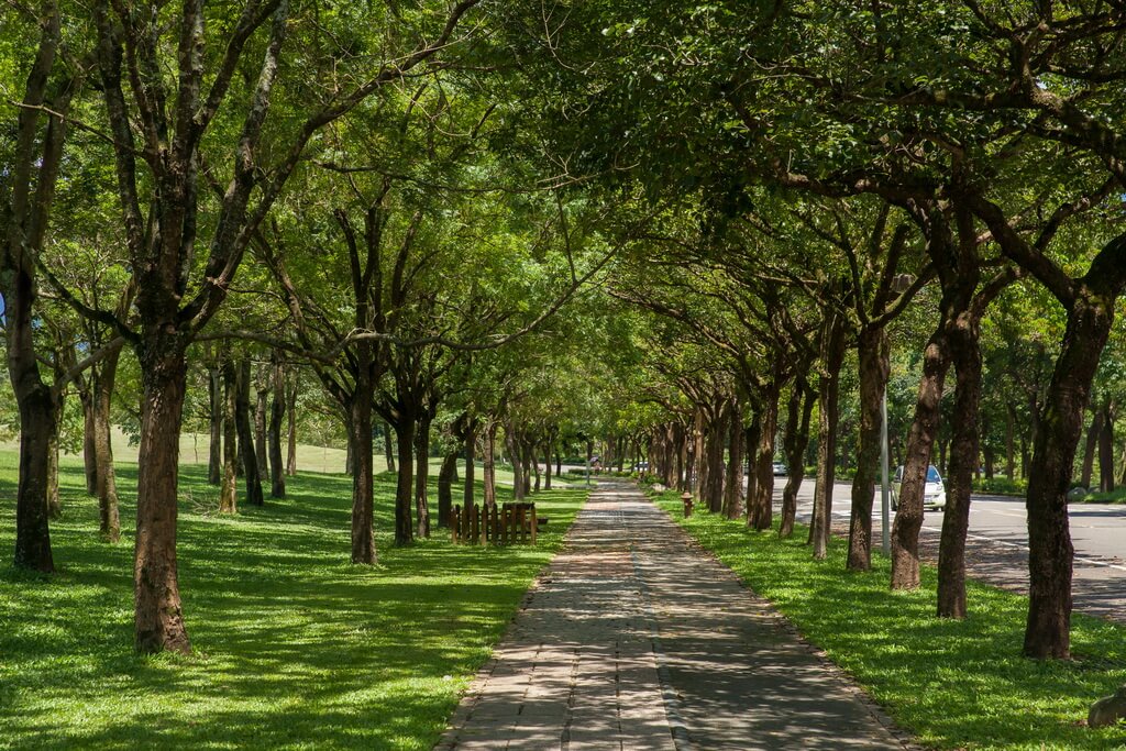 埔里景點-暨南大學