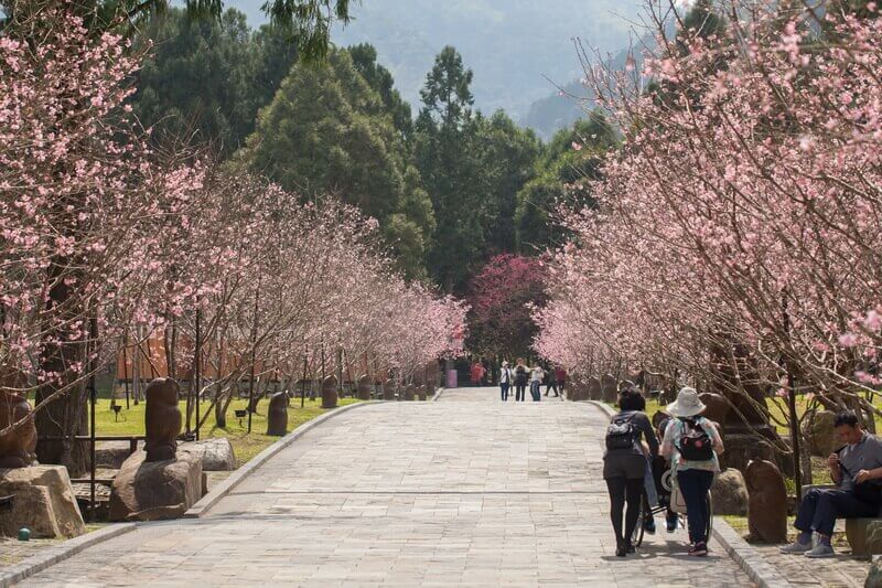 日月潭景點-九族文化村