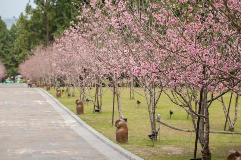 日月潭景點-九族文化村