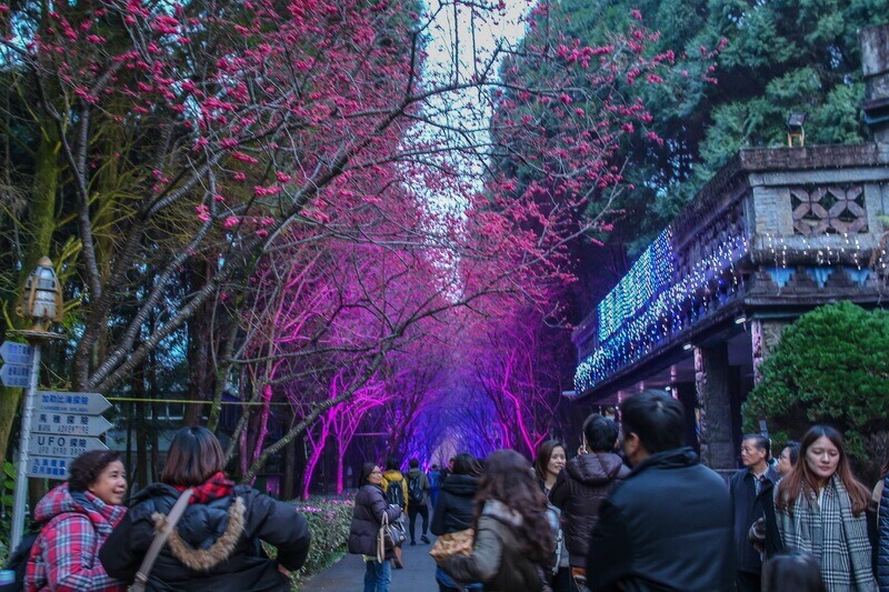 日月潭景點-九族文化村