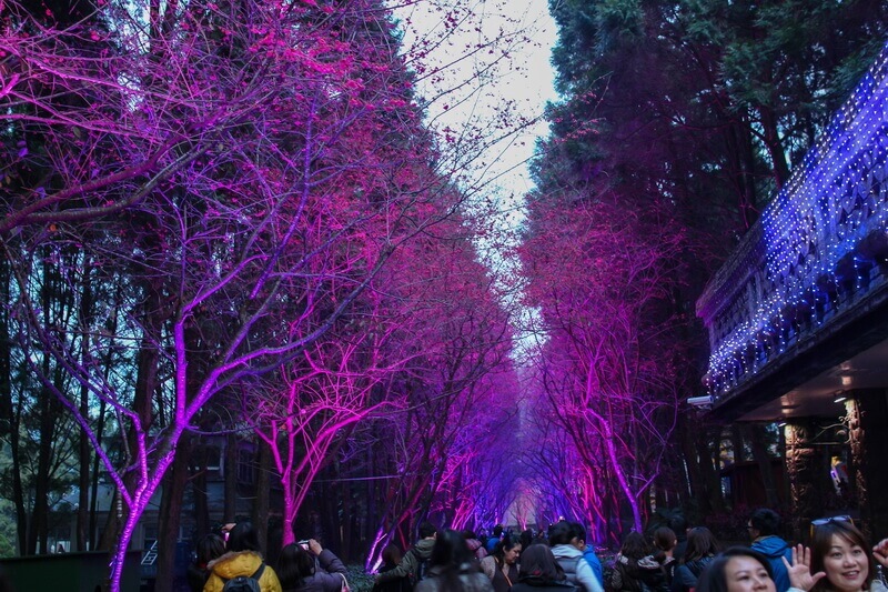 日月潭景點-九族文化村