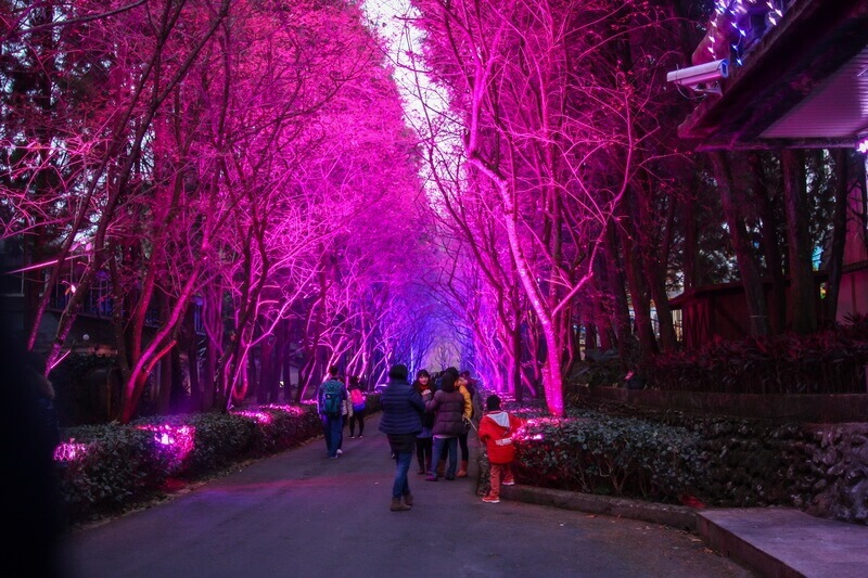 日月潭景點-九族文化村