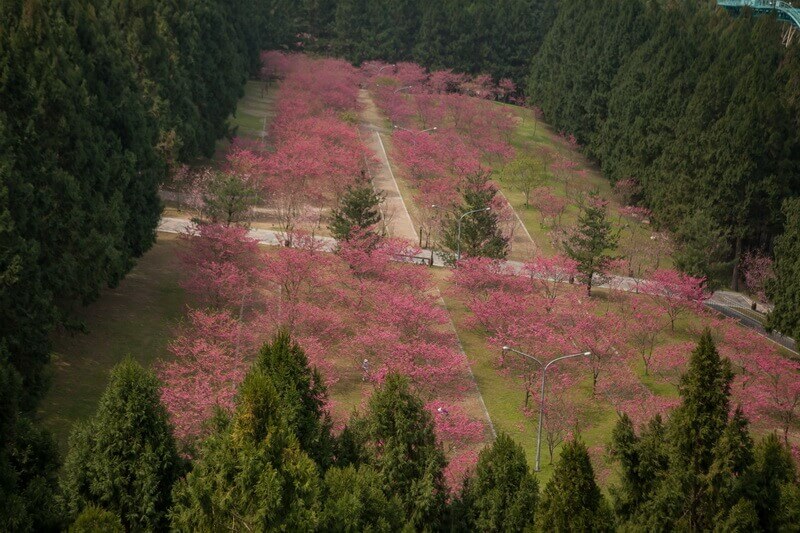 日月潭景點-九族文化村