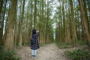 埔里景點-埔里黑森林