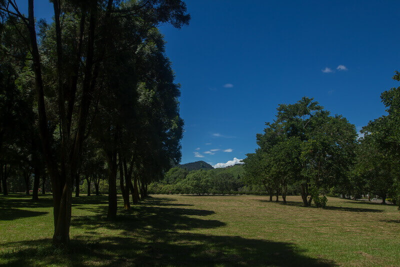 日月潭景點-三育基督學院