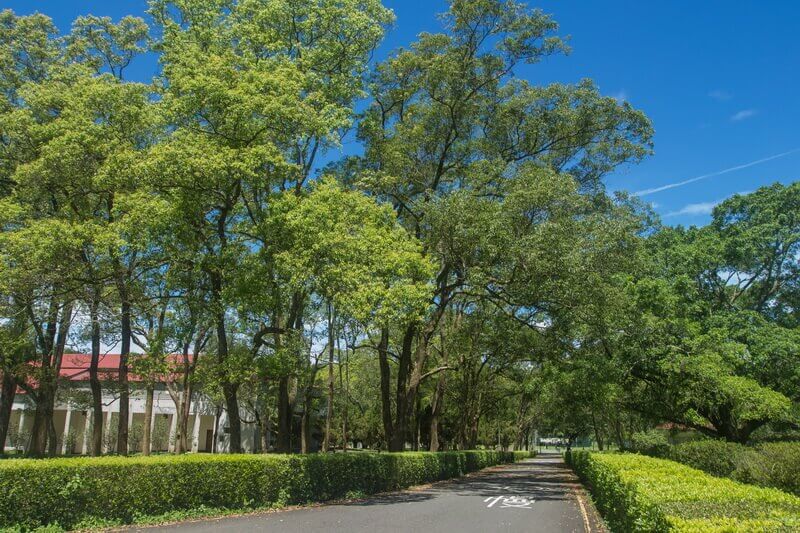 日月潭景點-三育基督學院