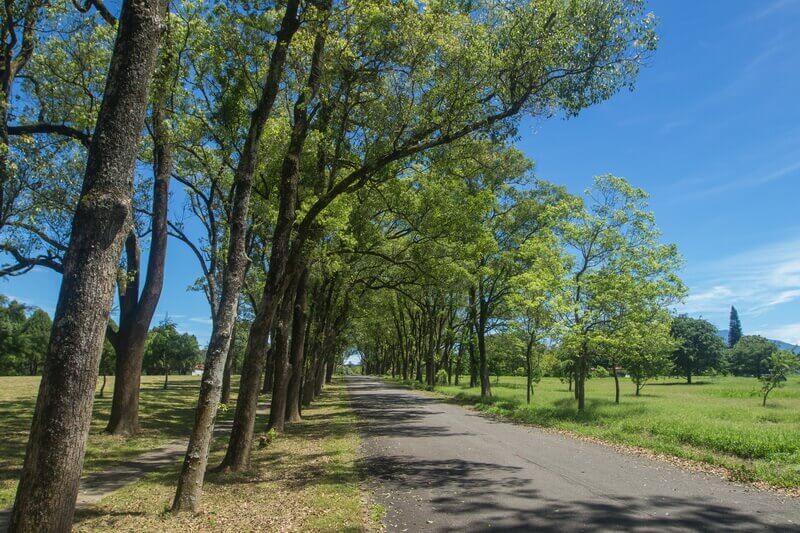 日月潭景點-三育基督學院