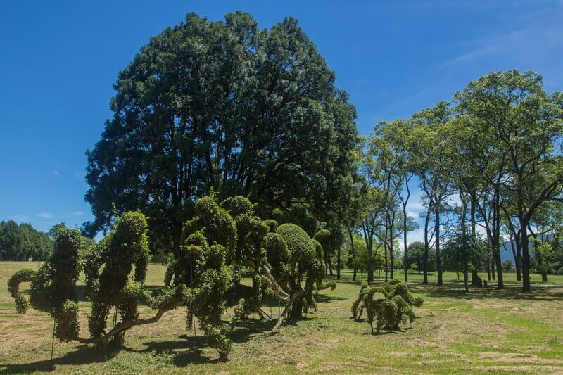 日月潭景點-三育基督學院