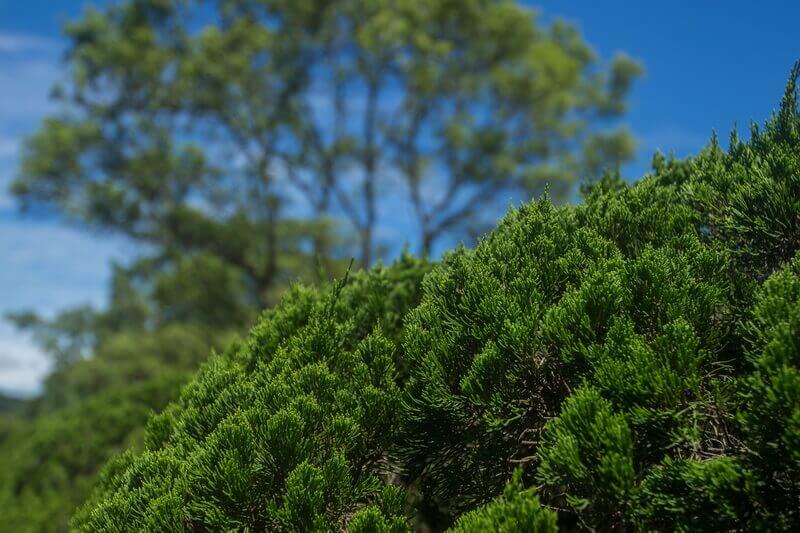 日月潭景點-三育基督學院