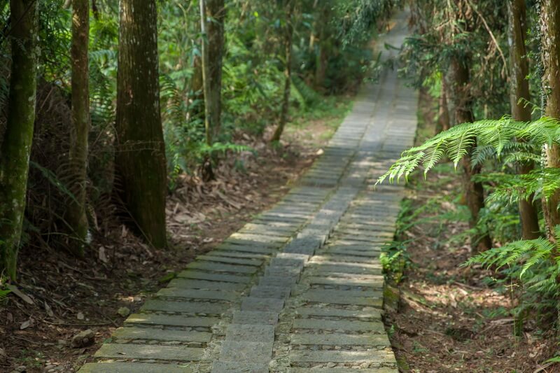 日月潭景點-青龍山步道