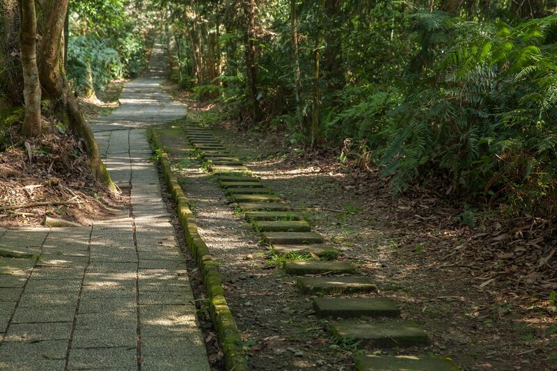 日月潭景點-青龍山步道