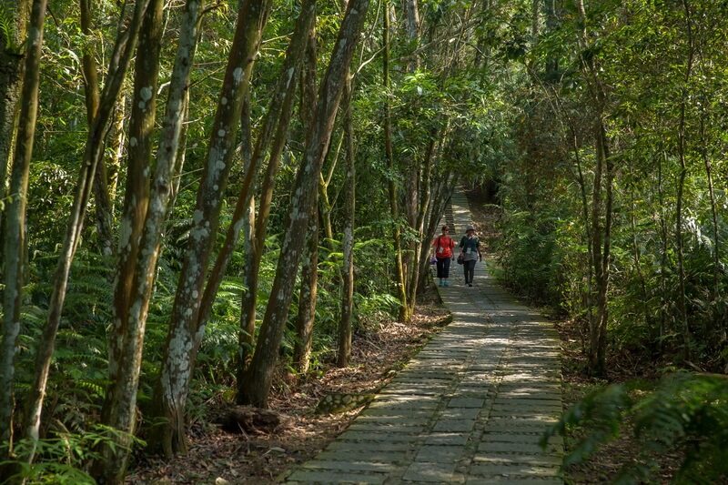 日月潭景點-青龍山步道