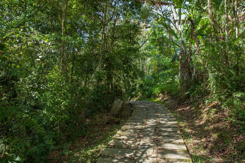 日月潭景點-青龍山步道