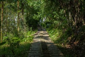 日月潭景點-青龍山步道
